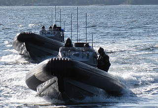 Enforcer C12 Rib